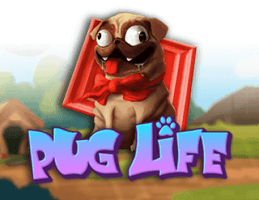 Pug Life slot